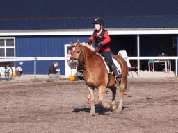 IMG_7118_web